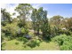 31  Wesley Street, Elanora Heights NSW 2101