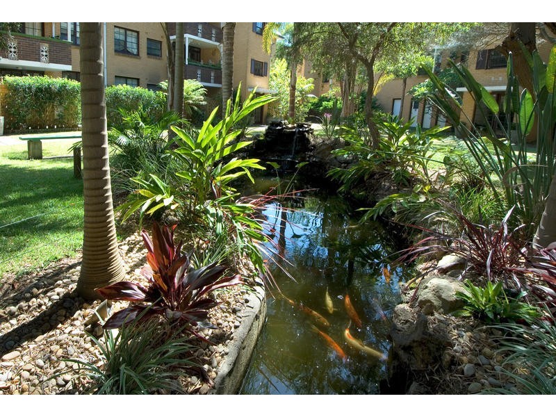 21/33  Palomar Pde, Freshwater NSW 2096