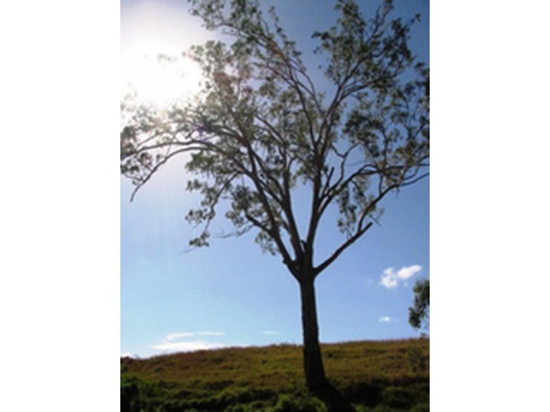 1,2,3,4,5,6,7,8,9,10 Ashfield Street, North Ipswich QLD 4305