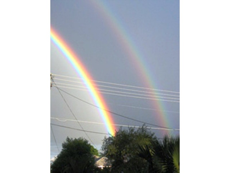 1,2,3,4,5,6,7,8,9,10 Ashfield Street, North Ipswich QLD 4305