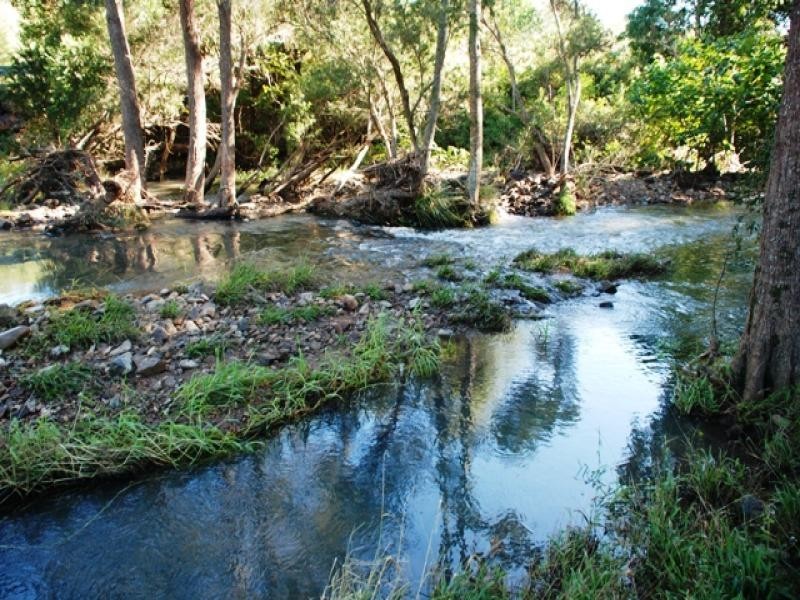 Cedar Creek QLD 4207