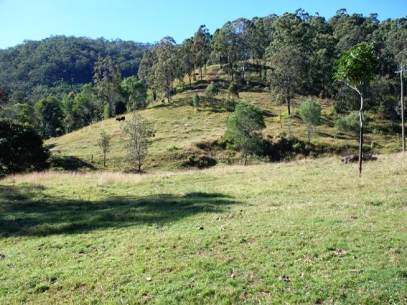 Cedar Creek QLD 4207