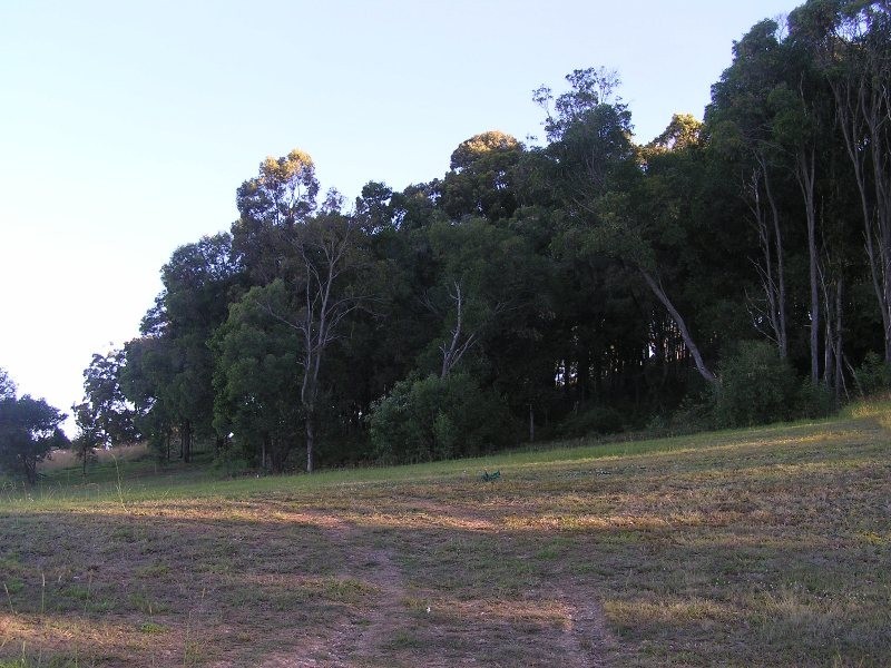 Upper Coomera QLD 4209