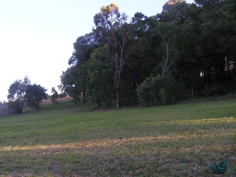 Upper Coomera QLD 4209