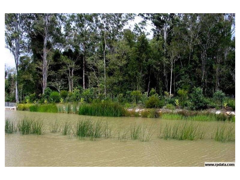 36 Wings Road, Upper Coomera QLD 4209