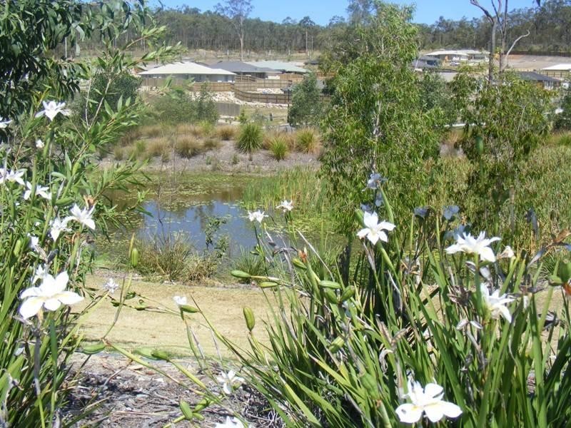 Holmview QLD 4207