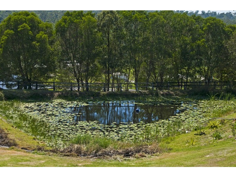15 Polo Close, Wongawallan QLD 4210