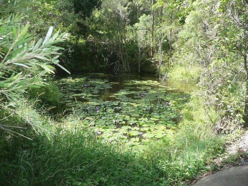 Wongawallan QLD 4210