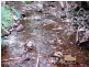 Wongawallan QLD 4210