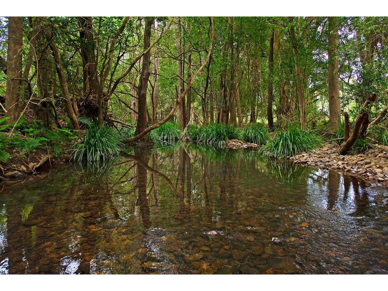 Lot 2, 0 Cedar Creek Road, Cedar Creek QLD 4207