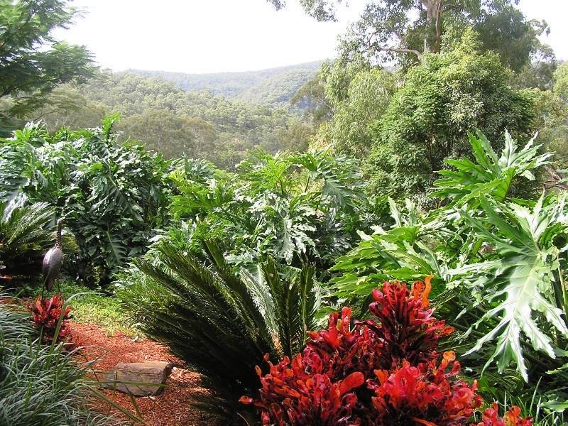 Wongawallan QLD 4210