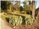 Maudsland QLD 4210