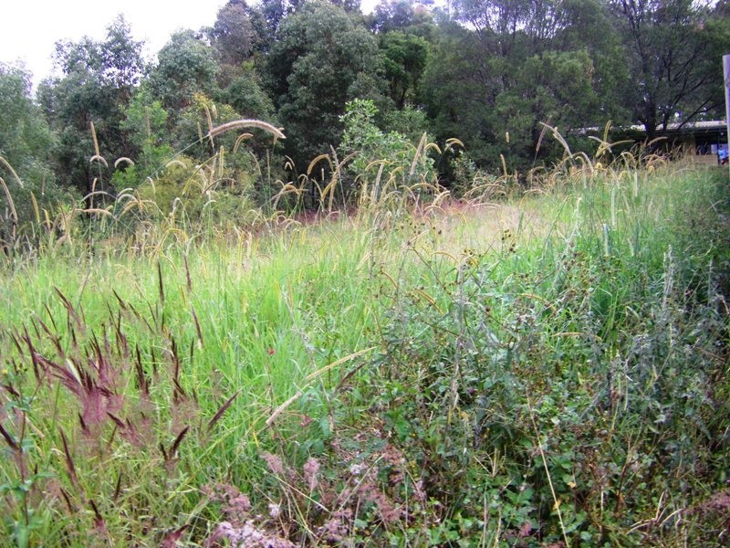 Upper Coomera QLD 4209