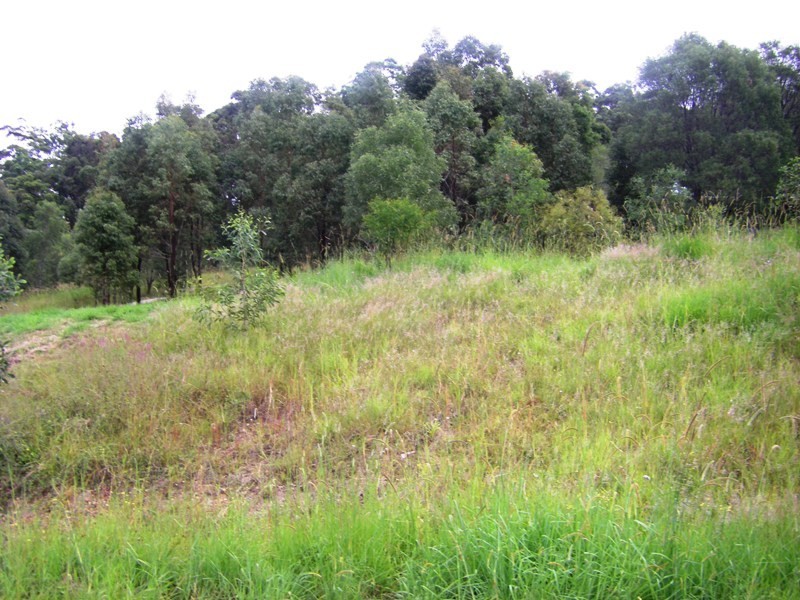 Upper Coomera QLD 4209