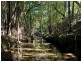 Wongawallan QLD 4210