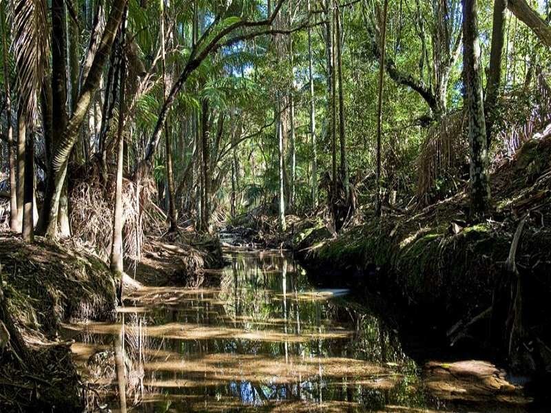 Wongawallan QLD 4210