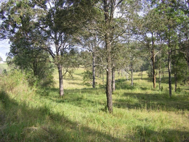 Upper Coomera QLD 4209