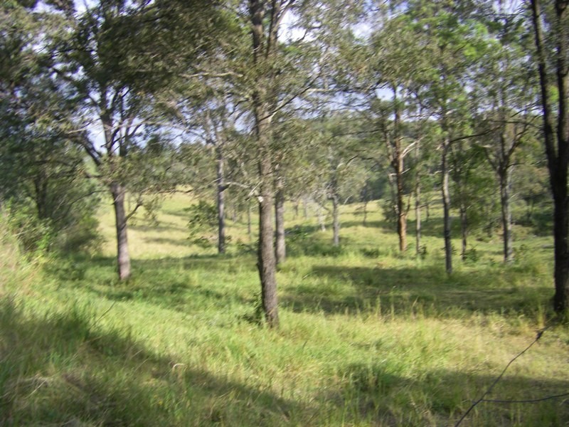 Upper Coomera QLD 4209