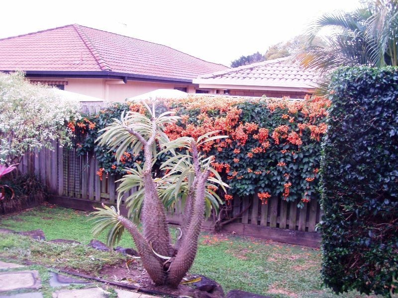 19 Silverash Street, Oxenford QLD 4210