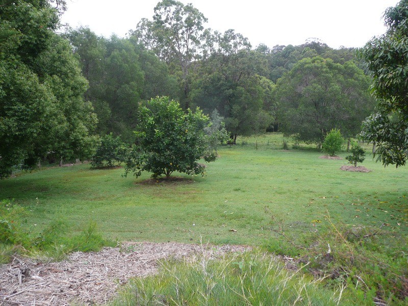 Willow Vale QLD 4209