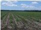Norwell QLD 4208