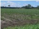 Norwell QLD 4208