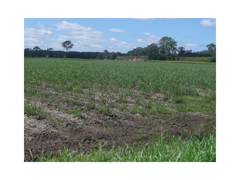 Norwell QLD 4208