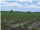 Norwell QLD 4208