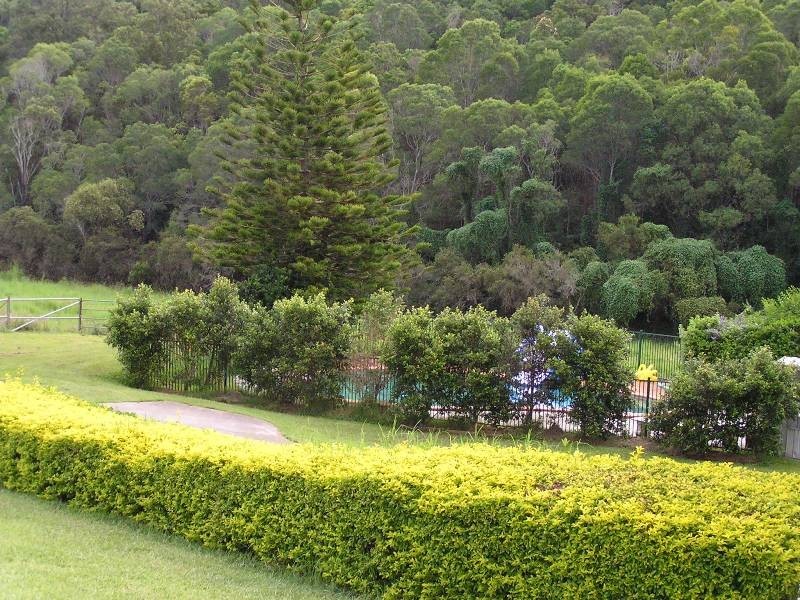 288 Clagiraba Road, Clagiraba QLD 4211