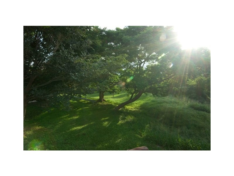 17 Kemble Street, Clayfield QLD 4011