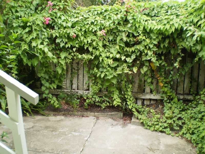 33 Macoma Street, Banyo QLD 4014