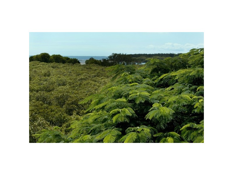 71 Chaseley Street, Nudgee Beach QLD 4014