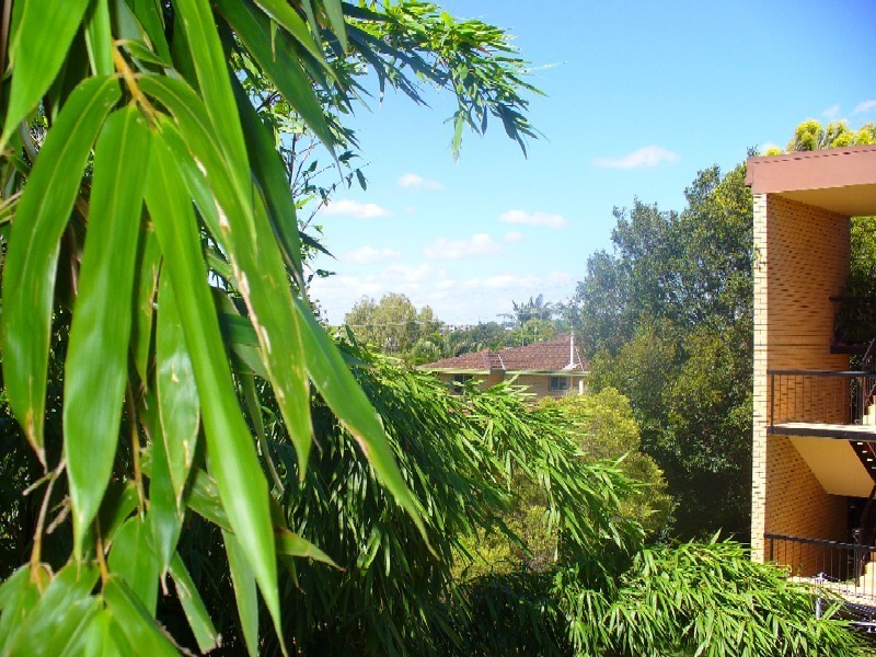 77  Macoma Street, Banyo QLD 4014