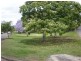 Nundah QLD 4012