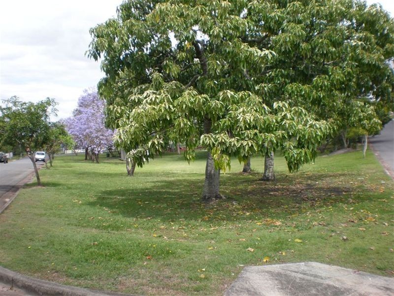 Nundah QLD 4012