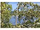 29  Raymond Road, Phegans Bay NSW 2256