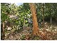 29  Raymond Road, Phegans Bay NSW 2256