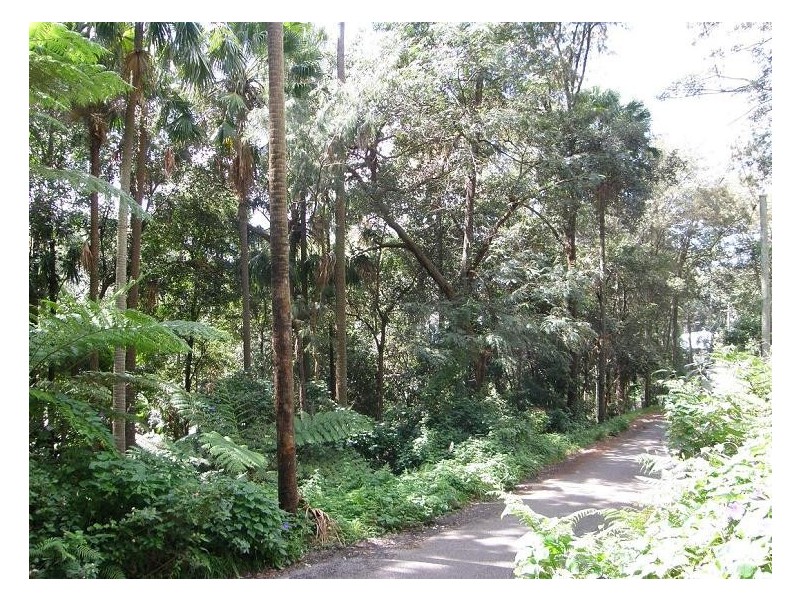 201  Phegans Bay Rd, Phegans Bay NSW 2256