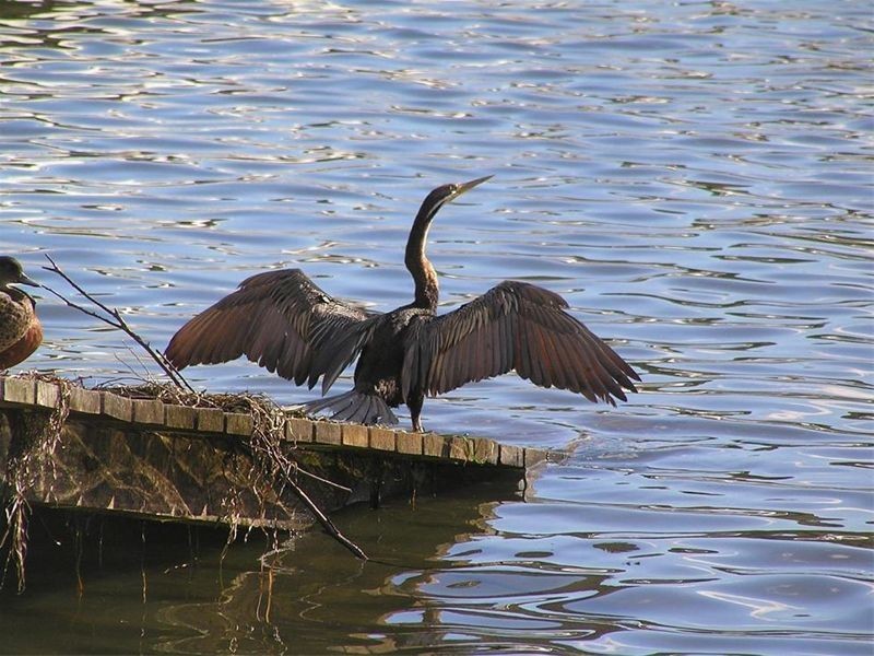 35A  Woy Woy Road, Woy Woy NSW 2256