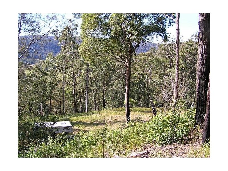 32  Priests Ridge Road, Cedar Brush Creek NSW 2259