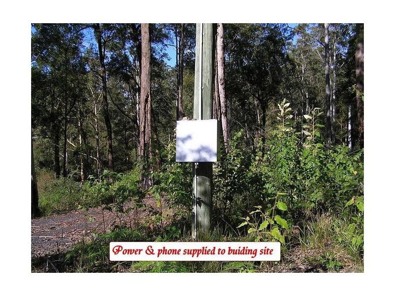 32  Priests Ridge Road, Cedar Brush Creek NSW 2259