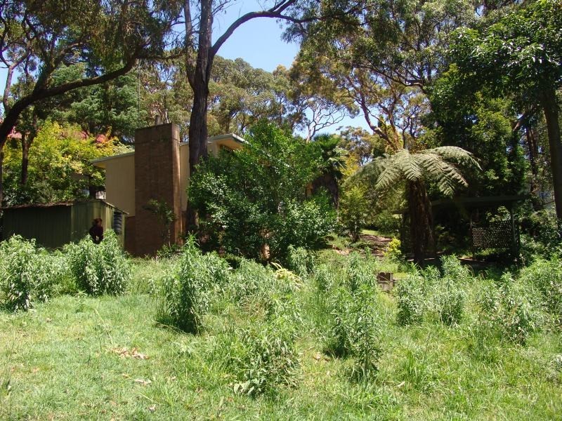 No. 6 and No. 8 Wakehurst Parkway, Frenchs Forest NSW 2086