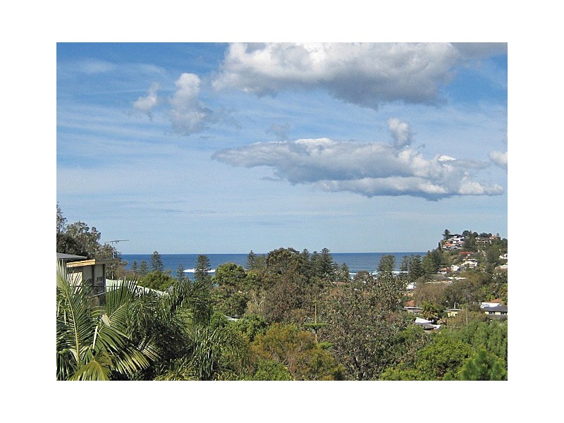 31 Hillside Road, Newport NSW 2106