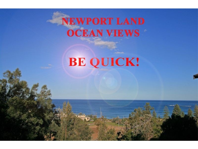 40 Hillside Road, Newport NSW 2106