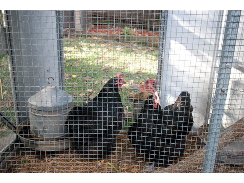 96  Alameda Way, Warriewood NSW 2102