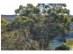 11  Kennedy Place, Bayview NSW 2104