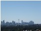 5 The Avenue, Randwick NSW 2031