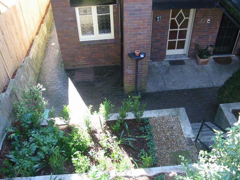 6 Daintrey Crescent, Randwick NSW 2031