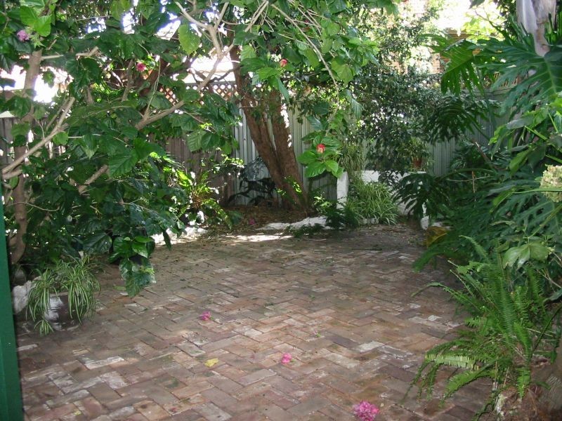 52 Eurimbla Avenue, Randwick NSW 2031