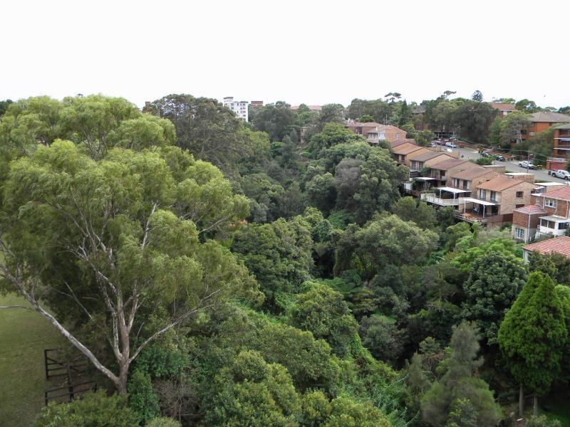260 Alison Road, Randwick NSW 2031